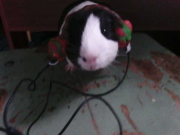 Дианочка Лутфуллина