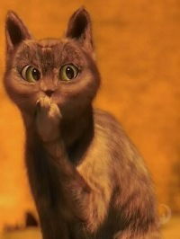 Саша Шапоренко