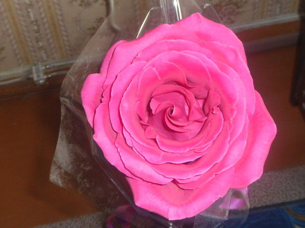 Людмила Усольцева