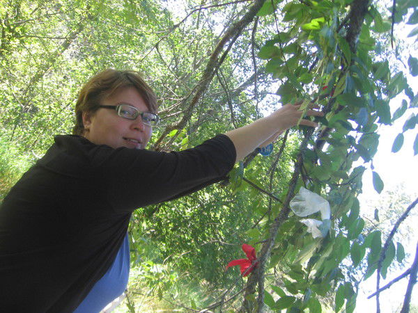 Алена Быкова