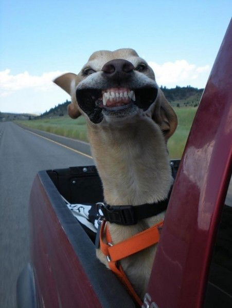 Владимир Фульга