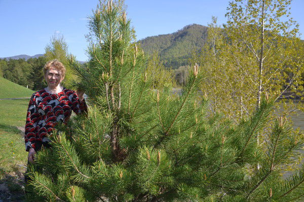 Александра Аникина