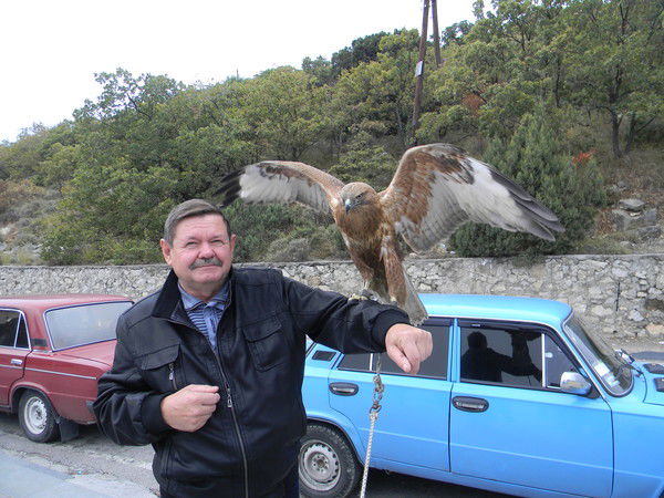 Николай Сергак