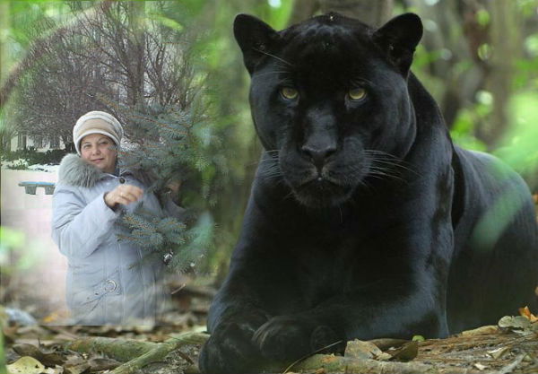 Любовь Иванькова