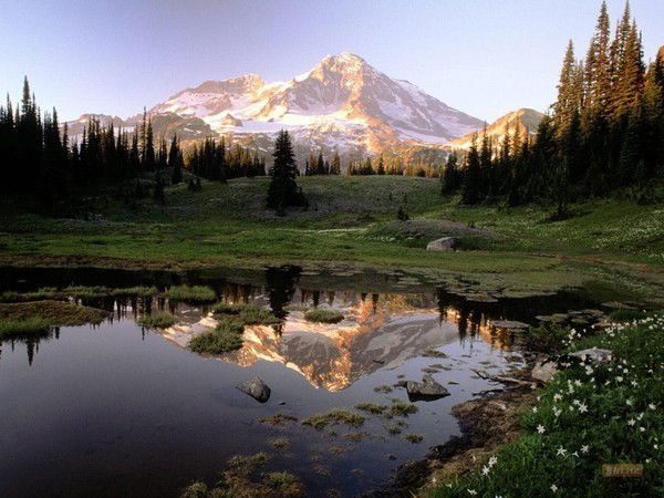 Агф Ргп Нпцзем .............