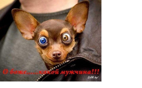 A.k.a >Pro_Stim Dima