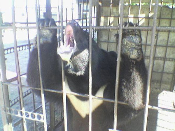 Дмитрий Попов