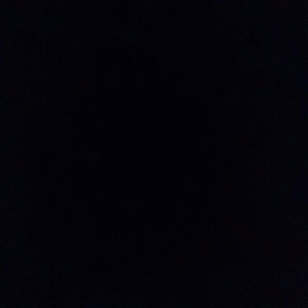 Елена Солод