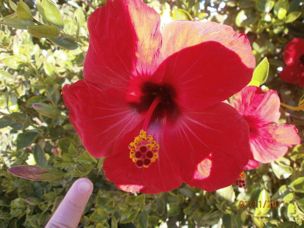 Юля Наумкина