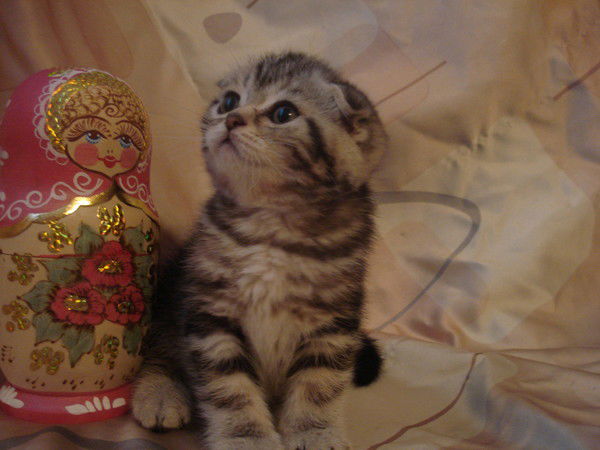 Светлана Андрей Кирамовы