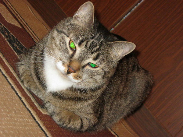 Андрей Потапов