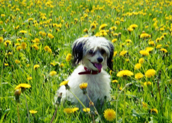 Лариса Акимова