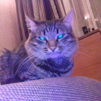 Максим Тумайкин