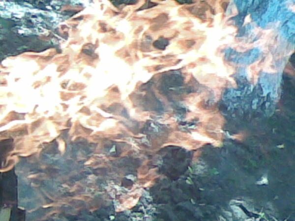 Марина Костюк