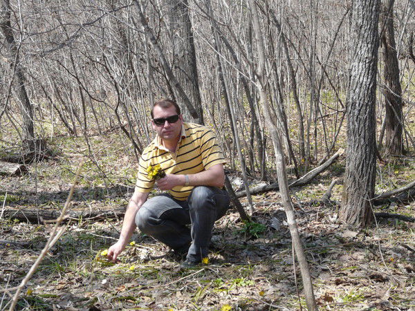 Анатолий Алексеев