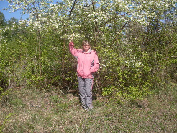 Елена Виноградова