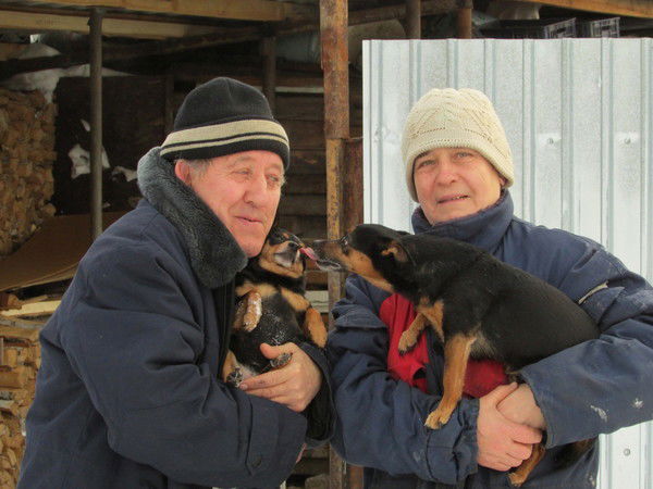 Геннадий Гнусин