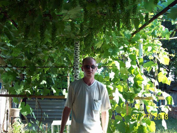 Михаил Ермолович