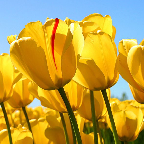 Людмила Городников