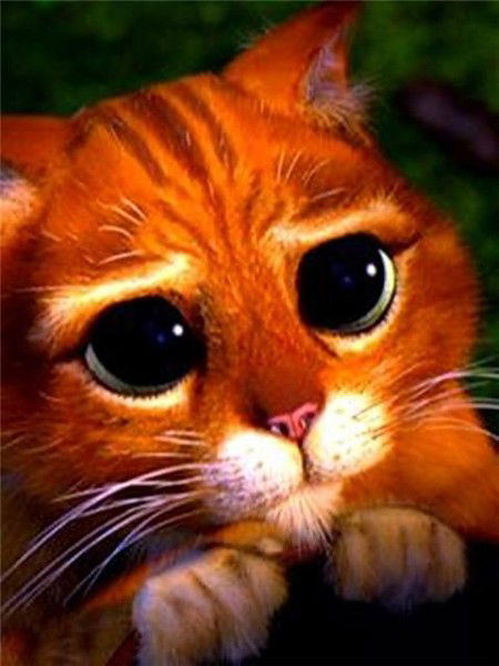 Александр Котов