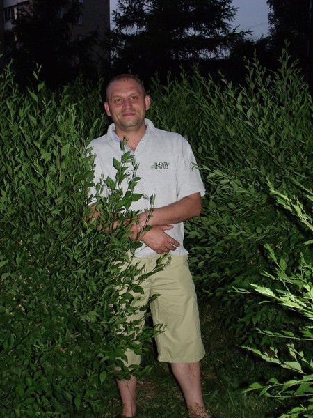 Александр Осипов