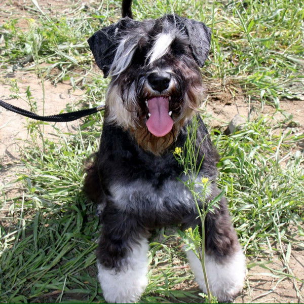 Uno7771 Сорокина Виктория