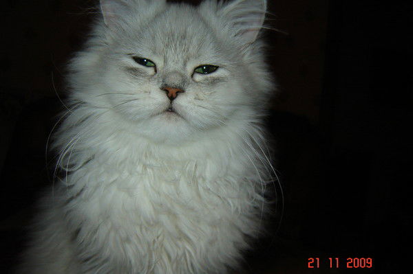 Елена Григораш