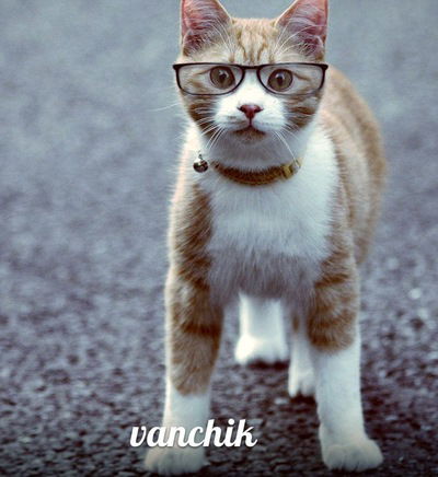 Ваня Марков