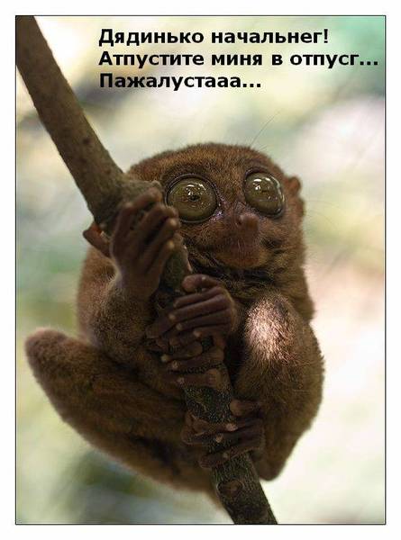 Александр Бочуля