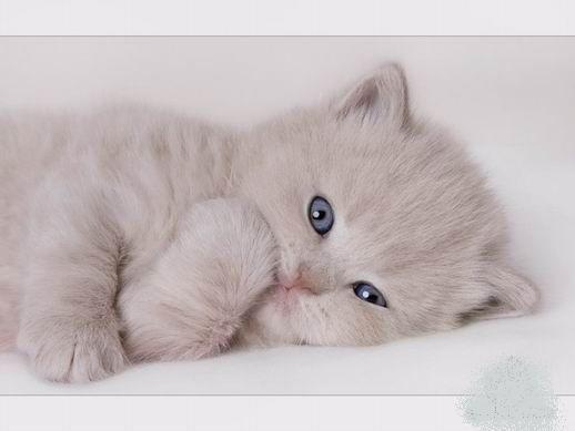 Инна Гаевая