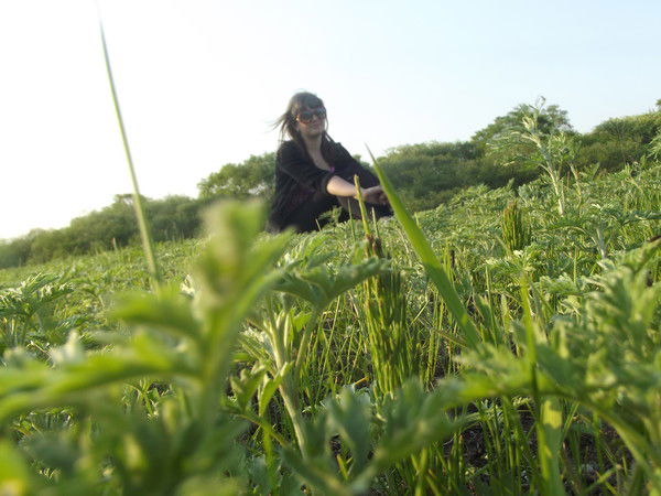 Светланка ....