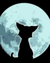 Марина Вешнякова