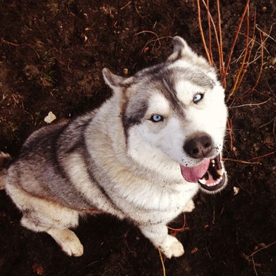 Екатерина Нежникова