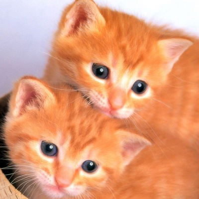 Ксюша Дериглазова