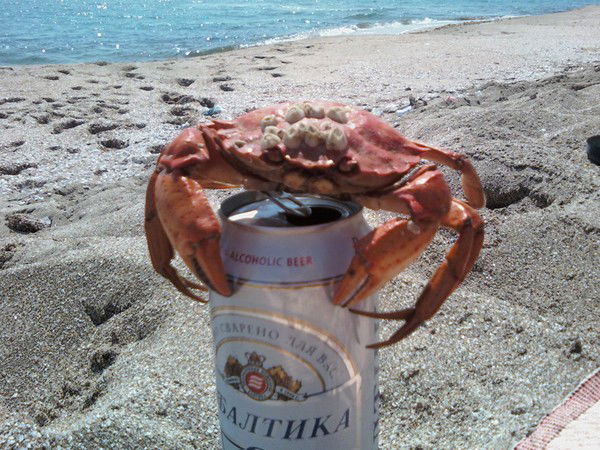 Александр Нежинский