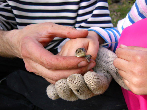 Ceргей Maксименко