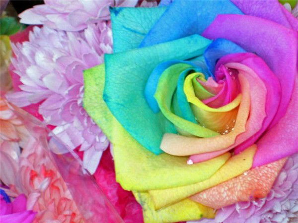 Алексей Садовин