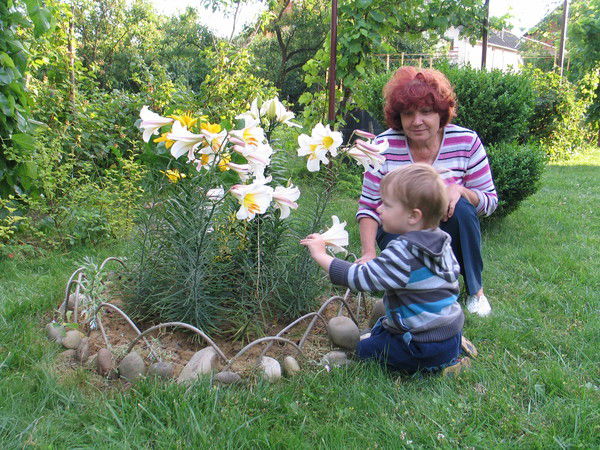 Пак Светлана