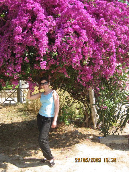 Светлана Никишина