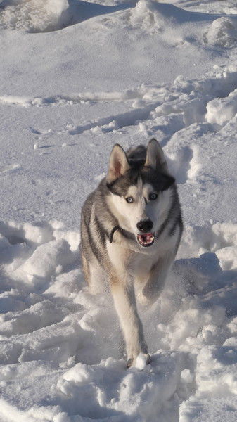Анастасия Тищенко