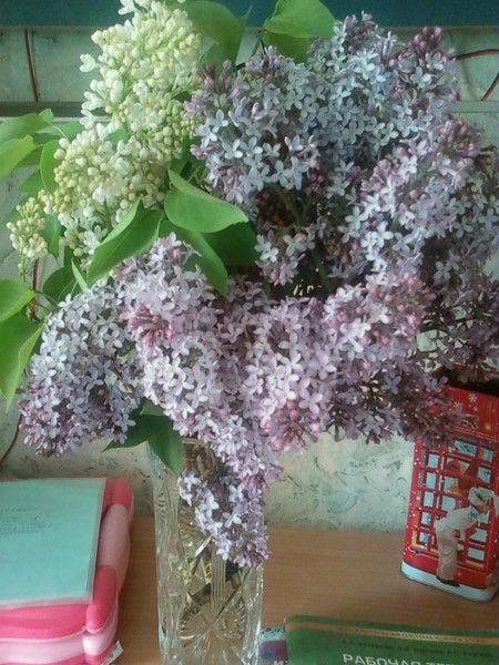 Татьяна Севостьянова