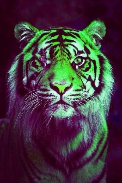 Лена Шрамова