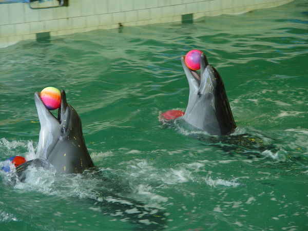 Татьяна Грушева