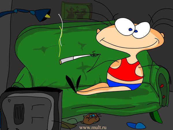 Марат Тимиров