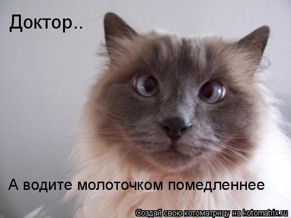 Евгений Нифантьев