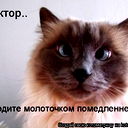 Евгений Нифантьев