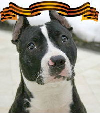 Анна Аркадьева