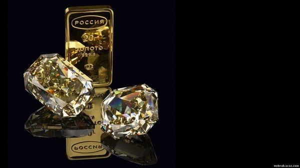 Наталья Амоголунова