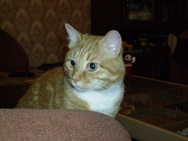 Юрий Рудаков