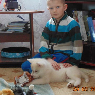 Арсен Тоник